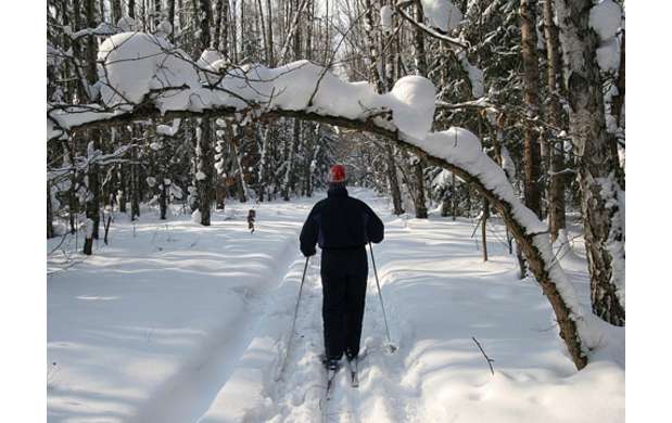 Skiing