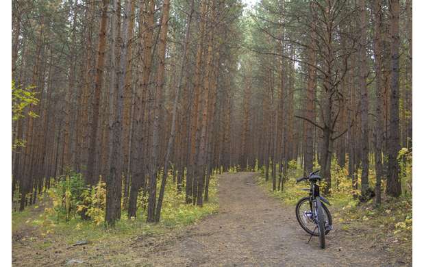 Cycling